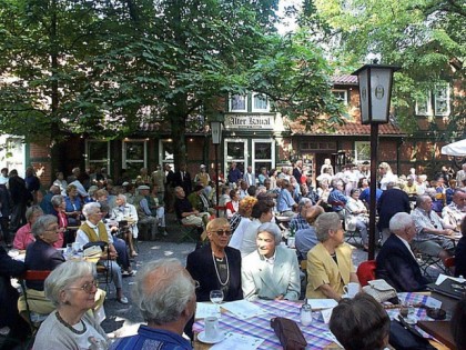 Фото: Waldwirtschaft Alter Kanal